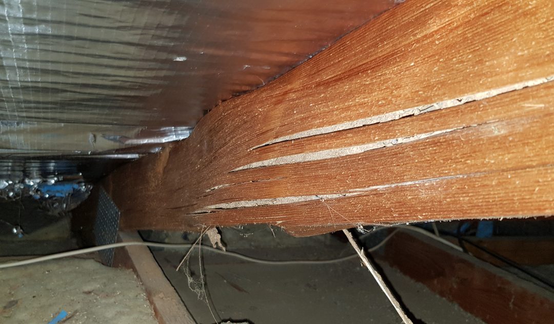 Underfloor structural damage in a houseadelaide building and property inspections – scbuildinginspections, private building inspector adelaide